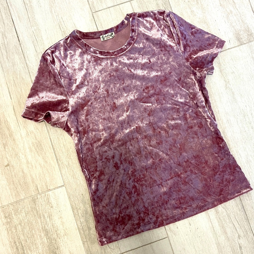 Free People velvet top